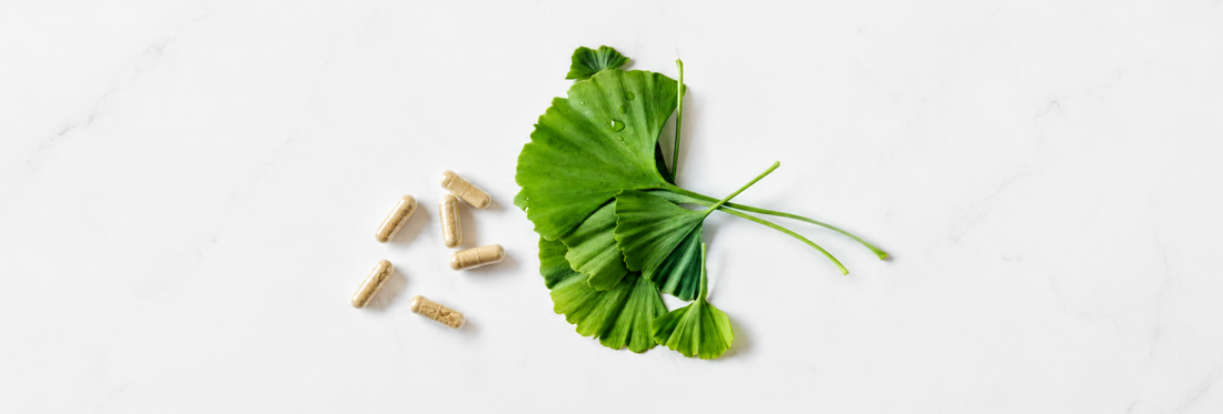 Les bienfaits du Ginkgo Biloba