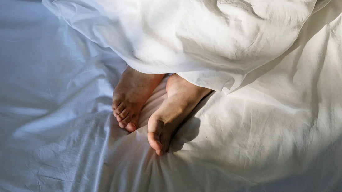 Quels sont les bienfaits des plantes pour le sommeil ?