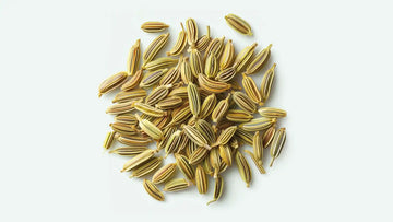 Quels sont les brûleurs de graisse naturels ?