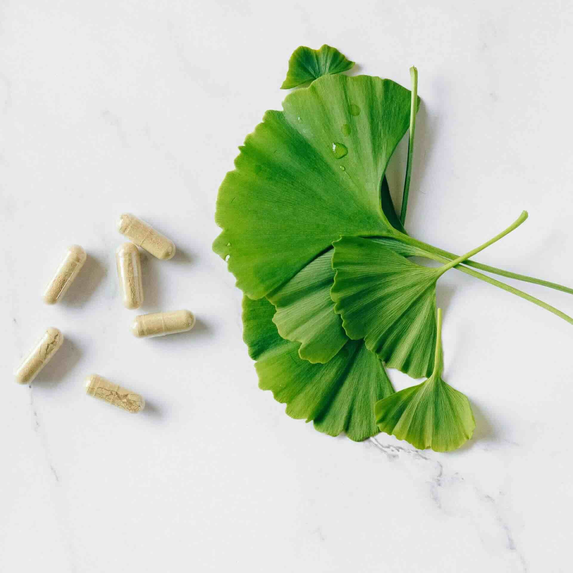Les bienfaits du Ginkgo Biloba