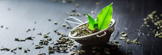 Les meilleurs draineurs naturels