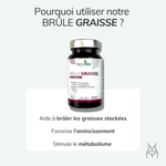 Complément alimentaire naturel brûle graisse Morosil®