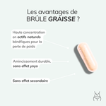 Complément alimentaire naturel brûle graisse Morosil®
