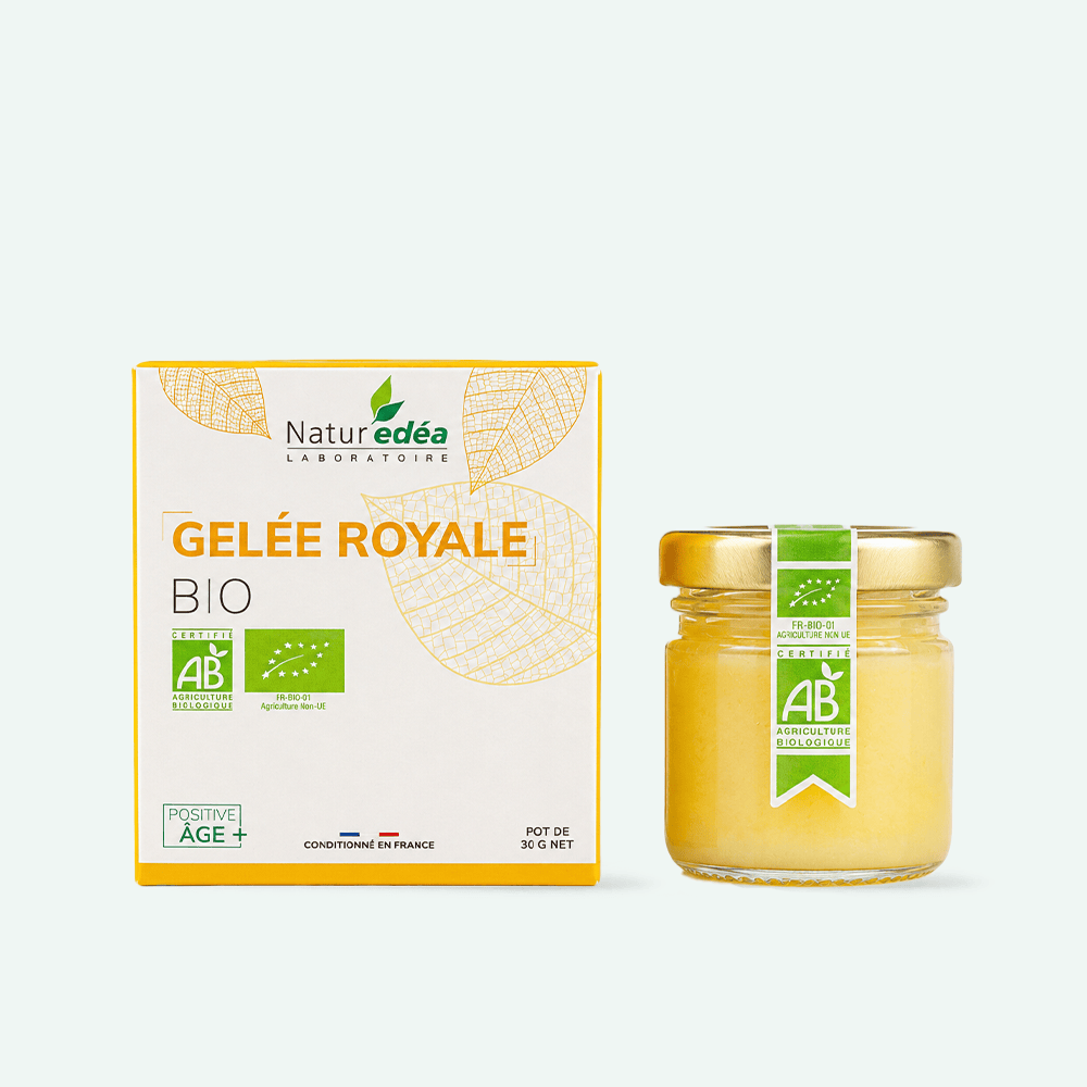 Gelée Royale Bio – Vitalité et immunité