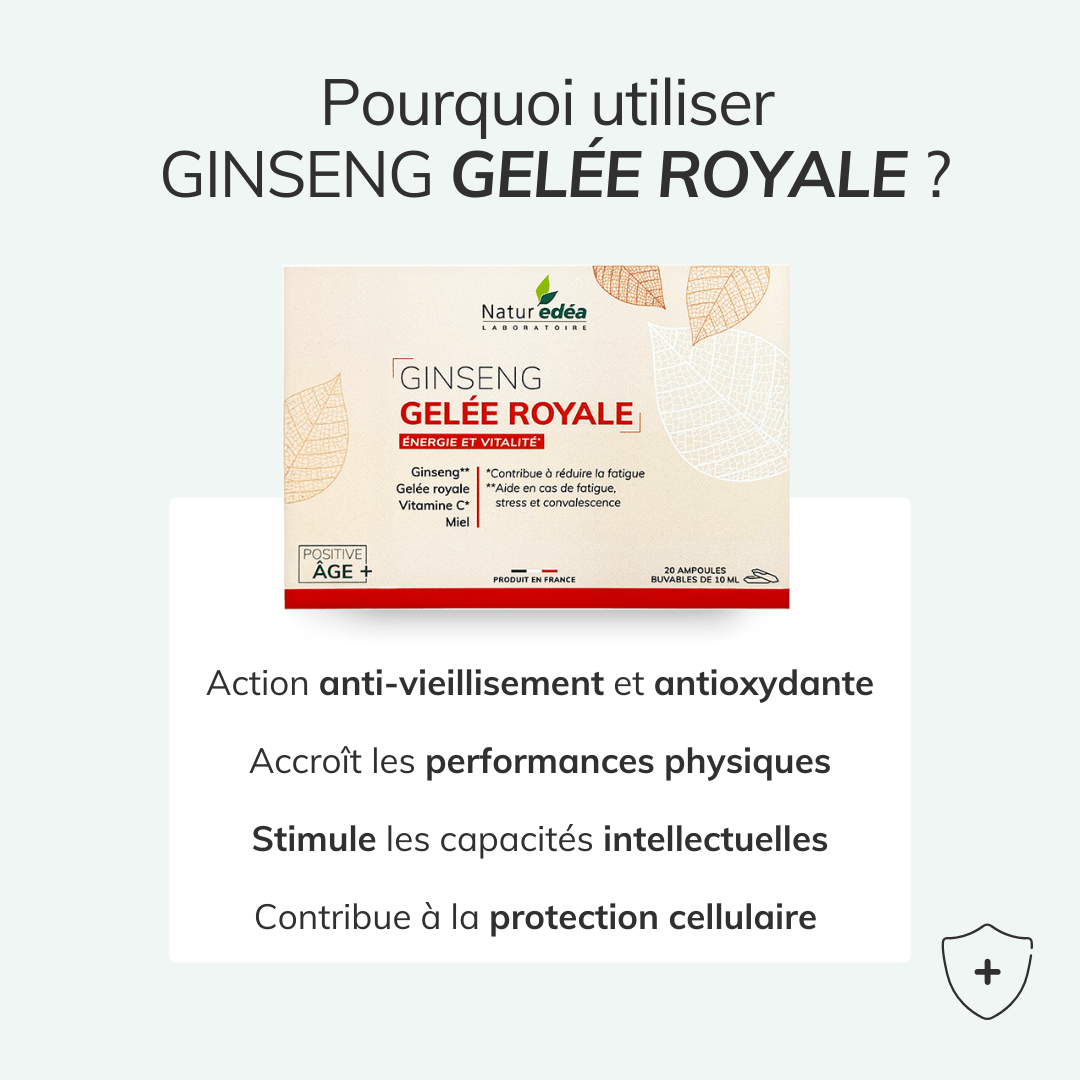Complément alimentaire naturel vitalité - Ginseng gelée royale