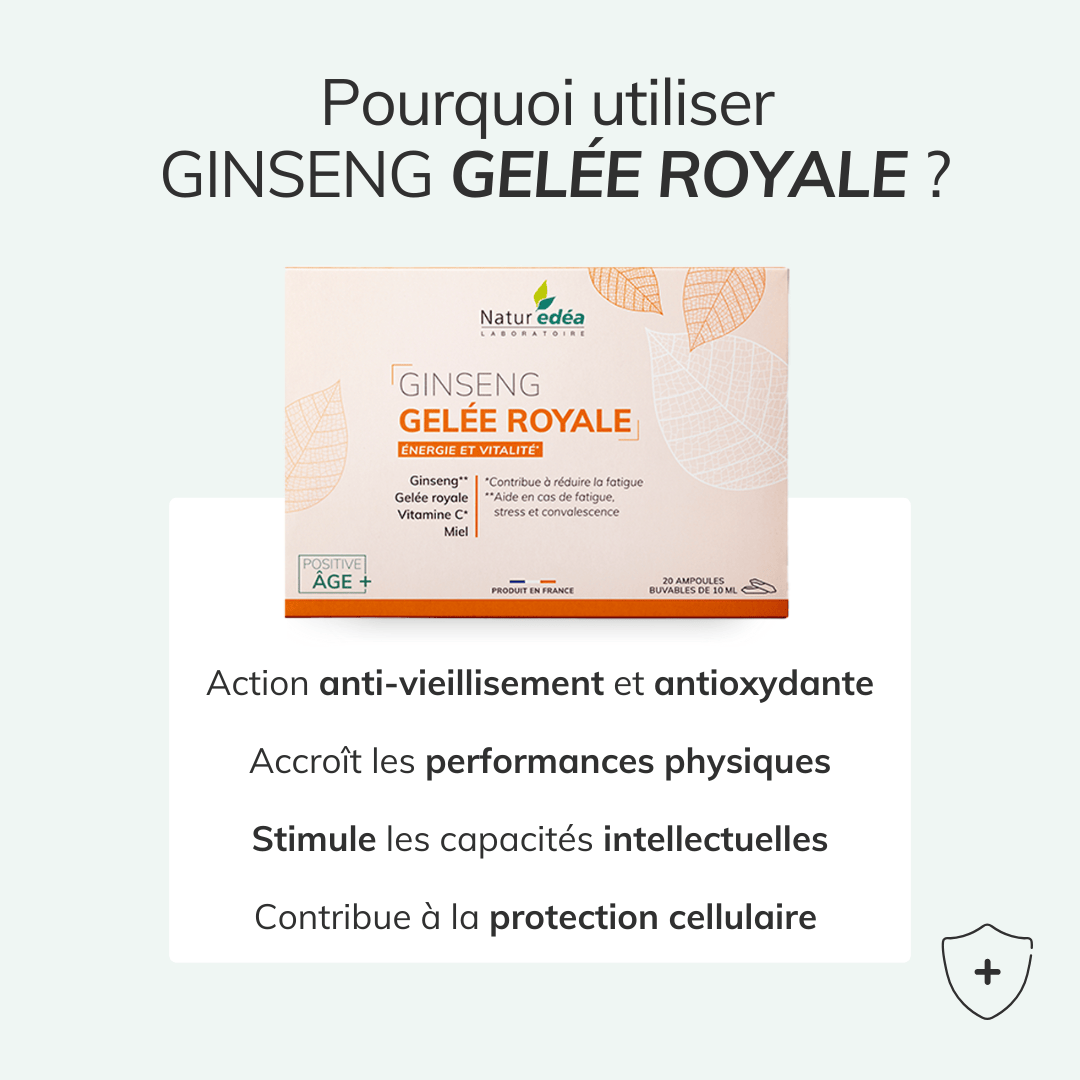 Pack vitalité - Énergie, mémoire et sommeil