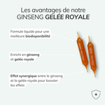 Pack vitalité - Énergie, mémoire et sommeil