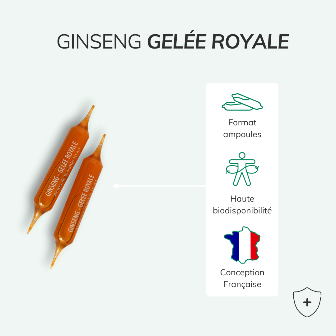 Pack vitalité - Énergie, mémoire et sommeil