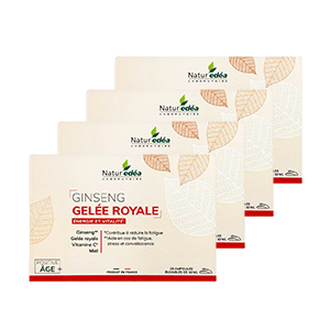 Complément alimentaire naturel vitalité - Ginseng gelée royale