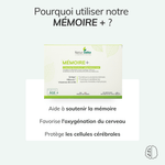 Pack vitalité - Énergie, mémoire et sommeil
