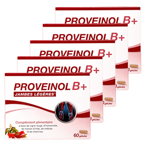 Complément alimentaire naturel circulation veineuse – Proveinol B+