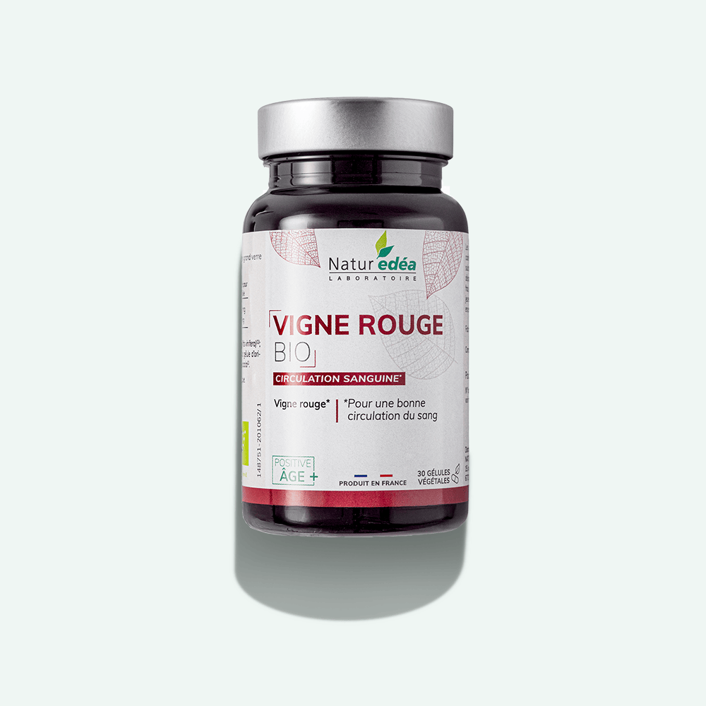 Vigne rouge BIO - Circulation veineuse