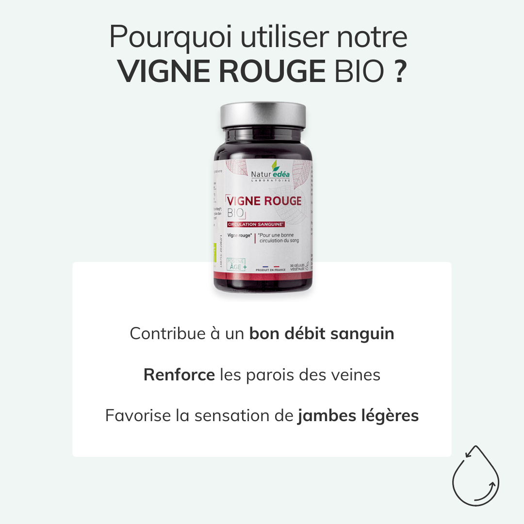 Vigne rouge BIO - Circulation veineuse