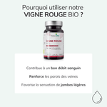 Vigne rouge BIO - Circulation veineuse