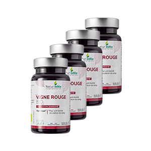 Vigne rouge BIO - Circulation veineuse