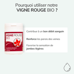 Vigne rouge bio