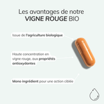 Vigne rouge bio