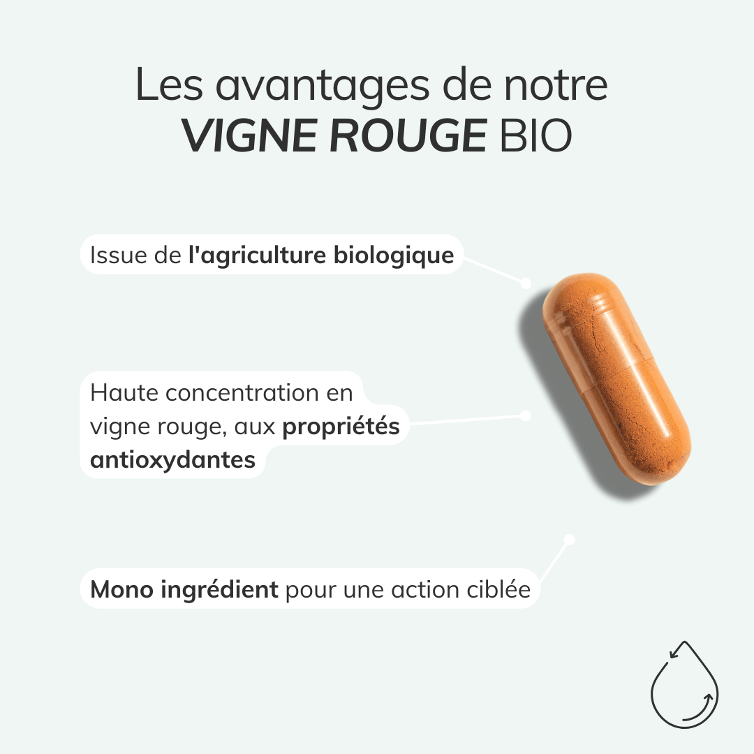 Vigne rouge bio
