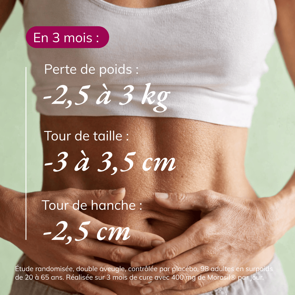 Complément alimentaire naturel brûle graisse Morosil®